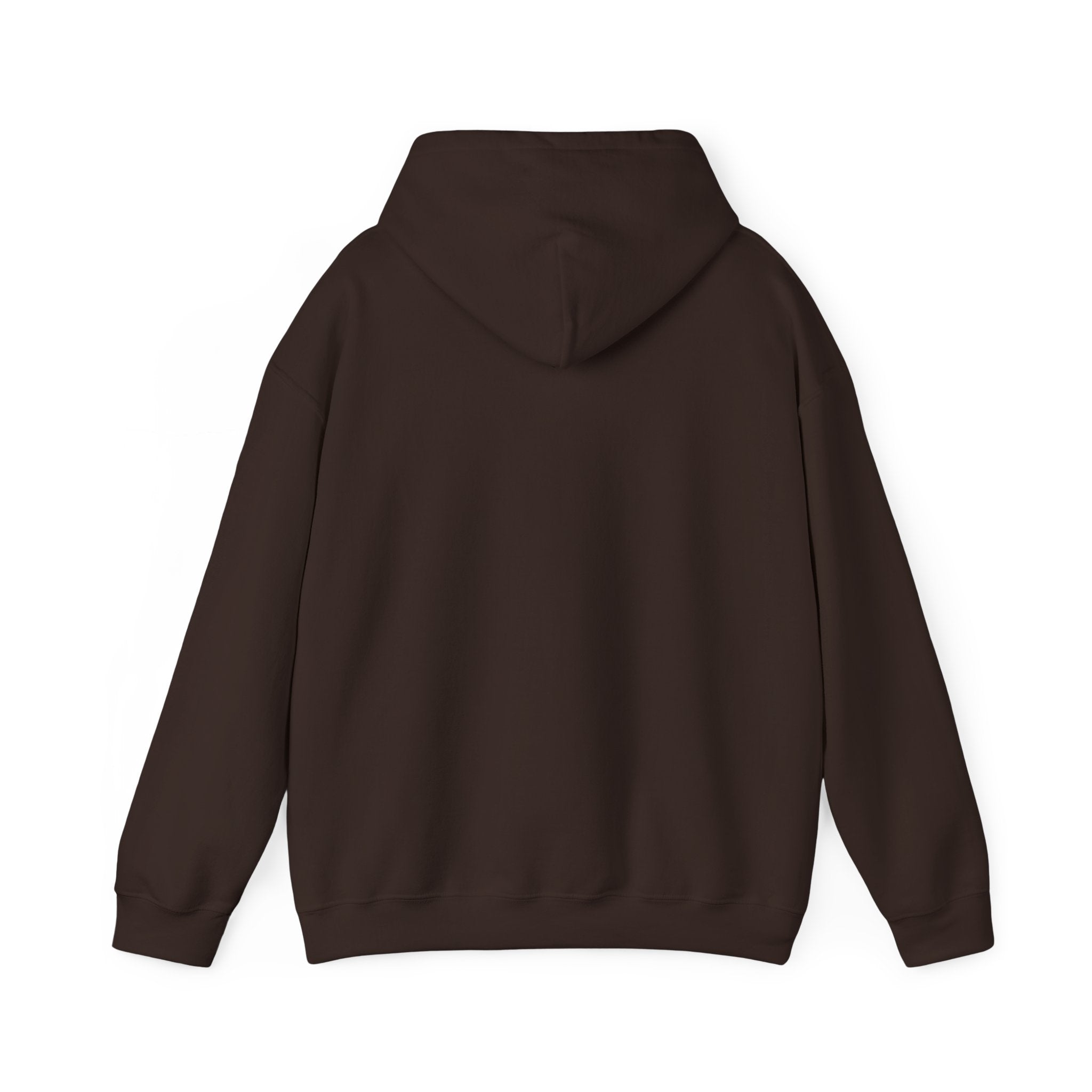 Classic Lake Stevens Vikings Hoodie