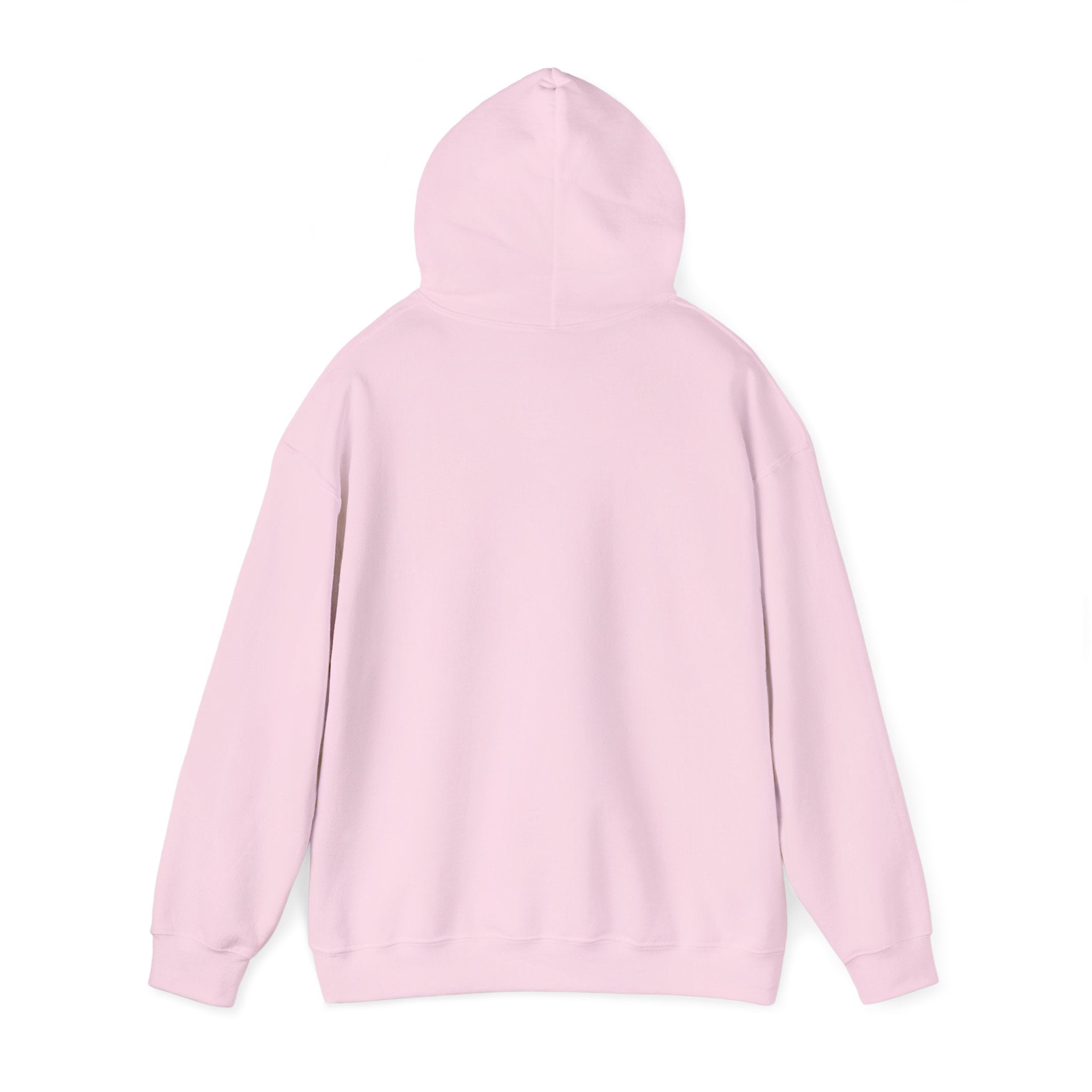 Lake Stevens Vikings Classic Hoodie