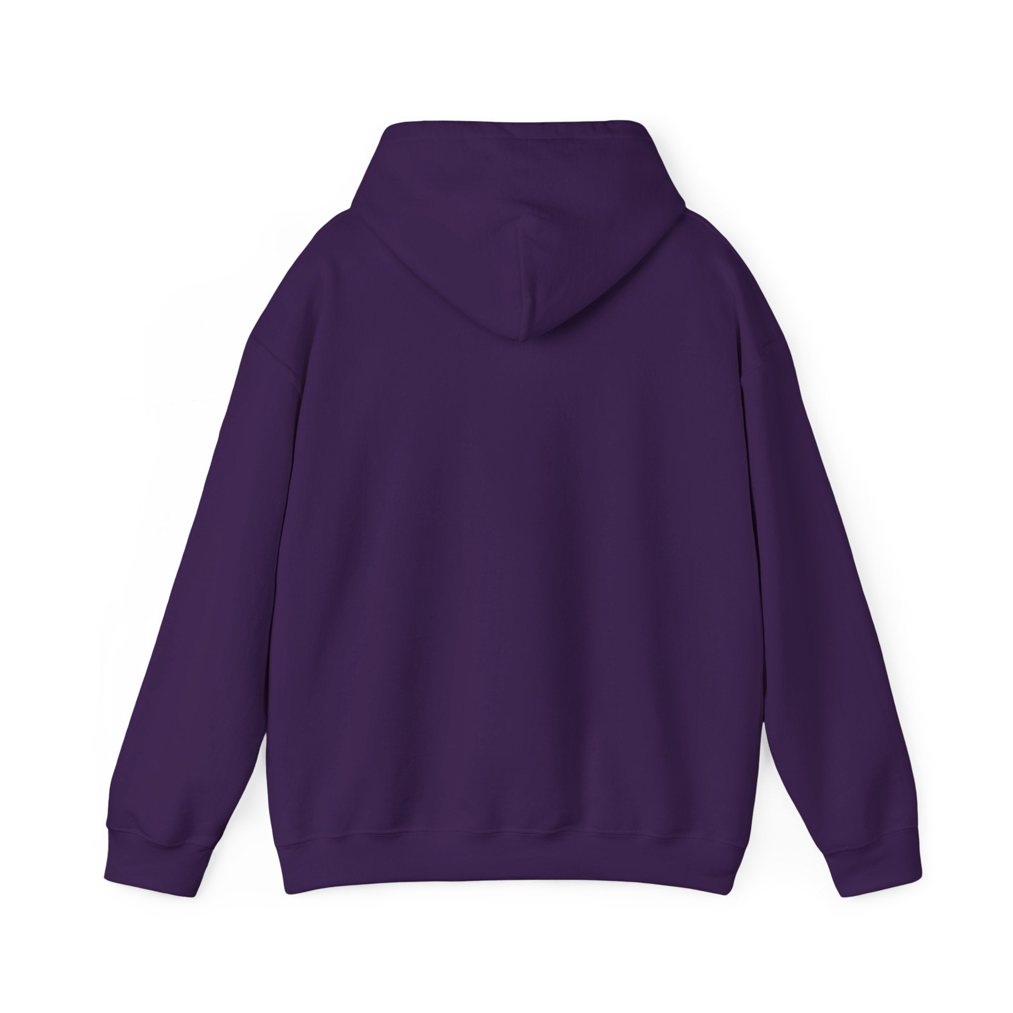 Lake Stevens Vikings Hoodie — LS