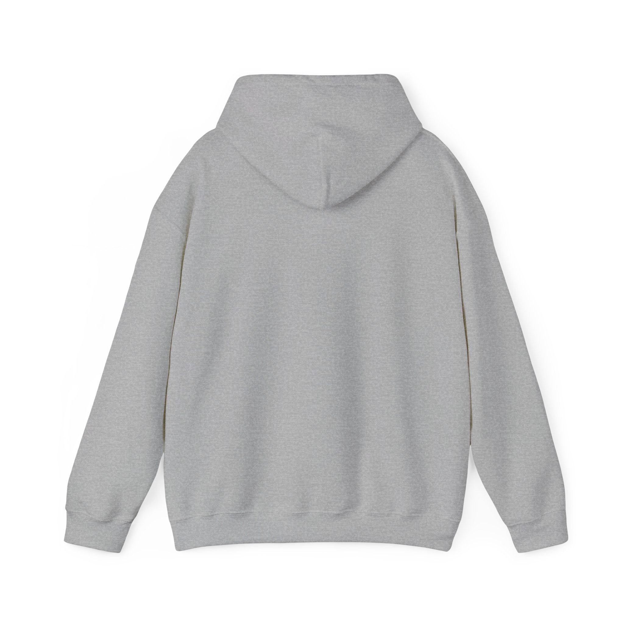 Classic 79' Dentside Heavy Blend Hooded Sweatshirt