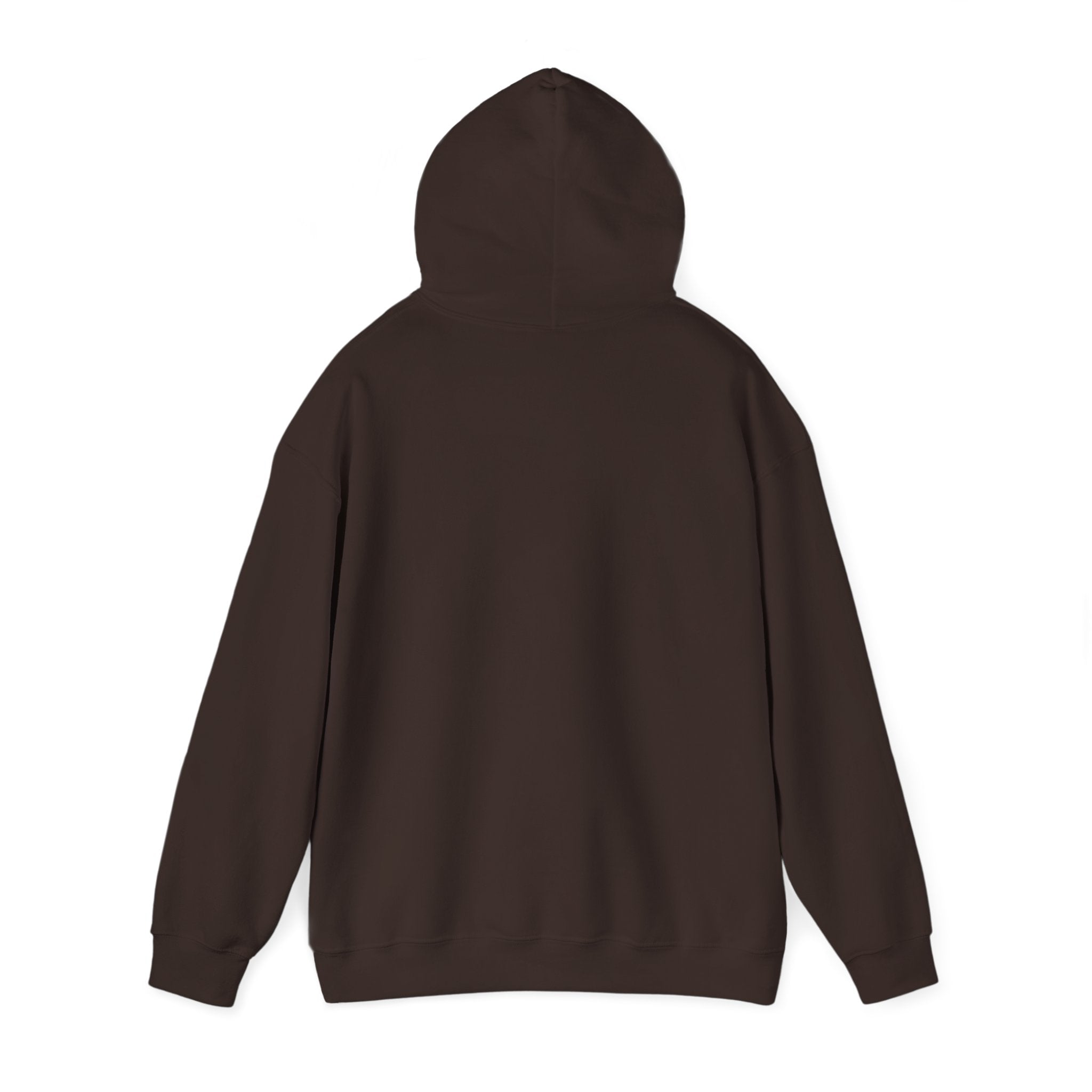 Classic Lake Stevens Vikings Hoodie