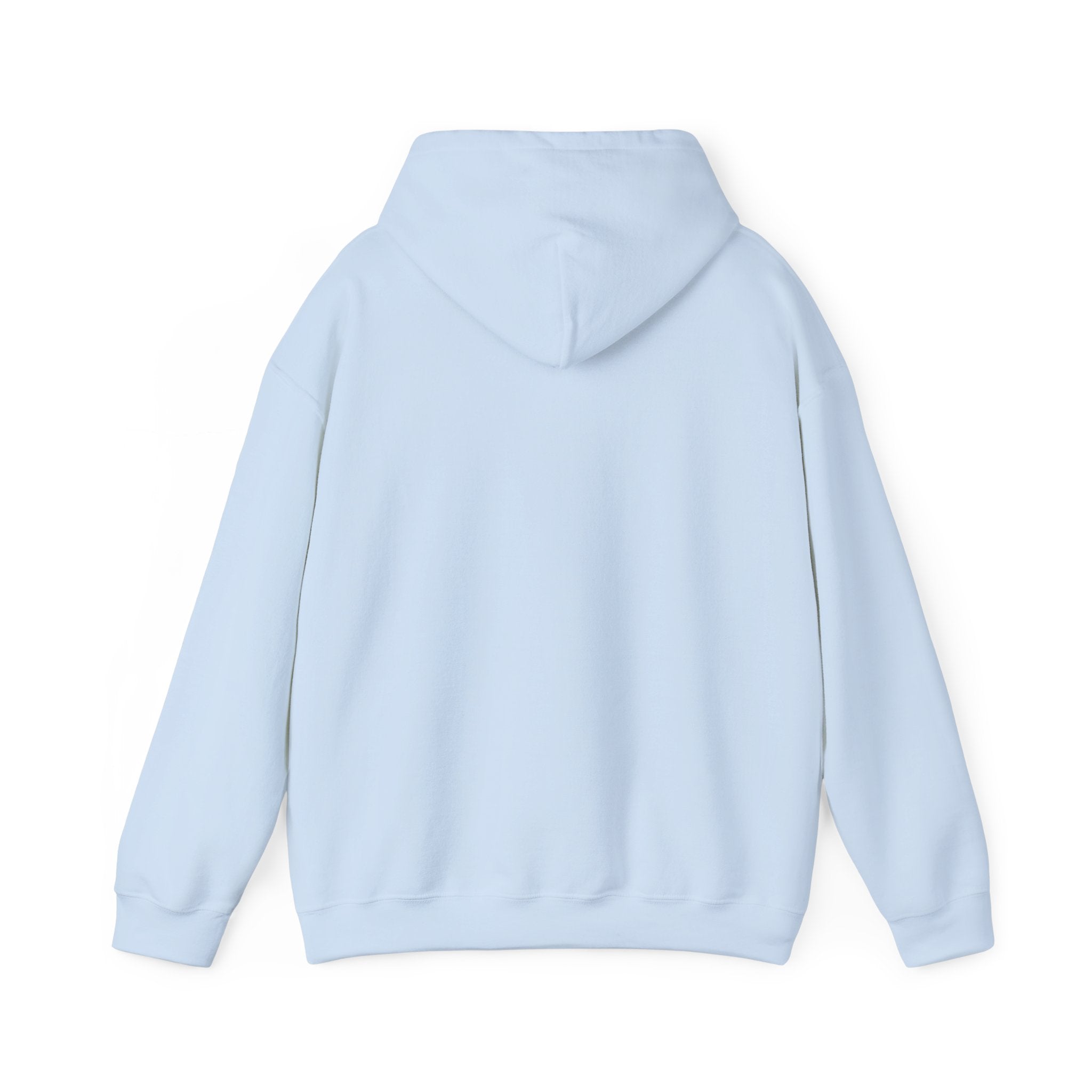 Lake Stevens Vikings Classic Hoodie