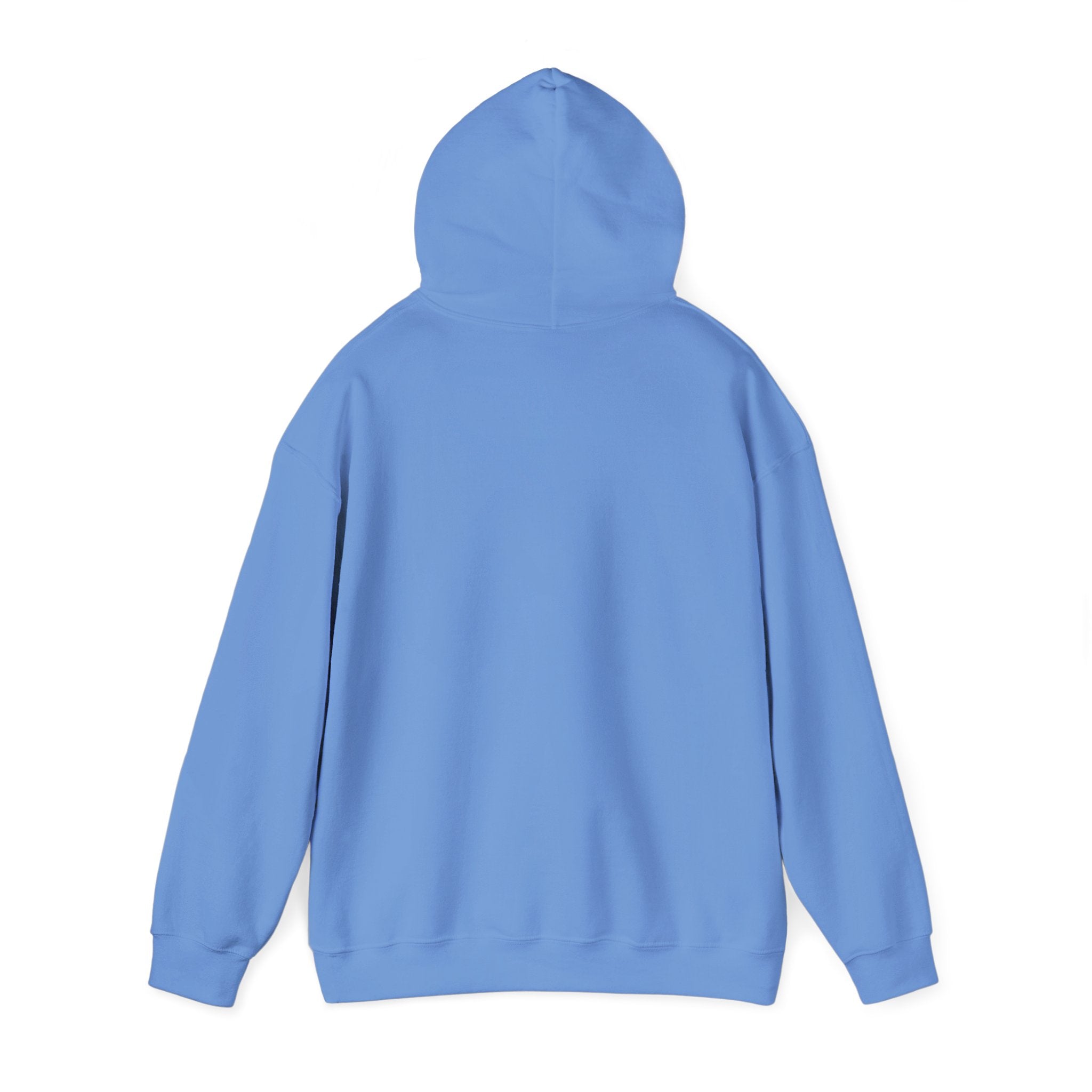 Lake Stevens Vikings Classic Hoodie