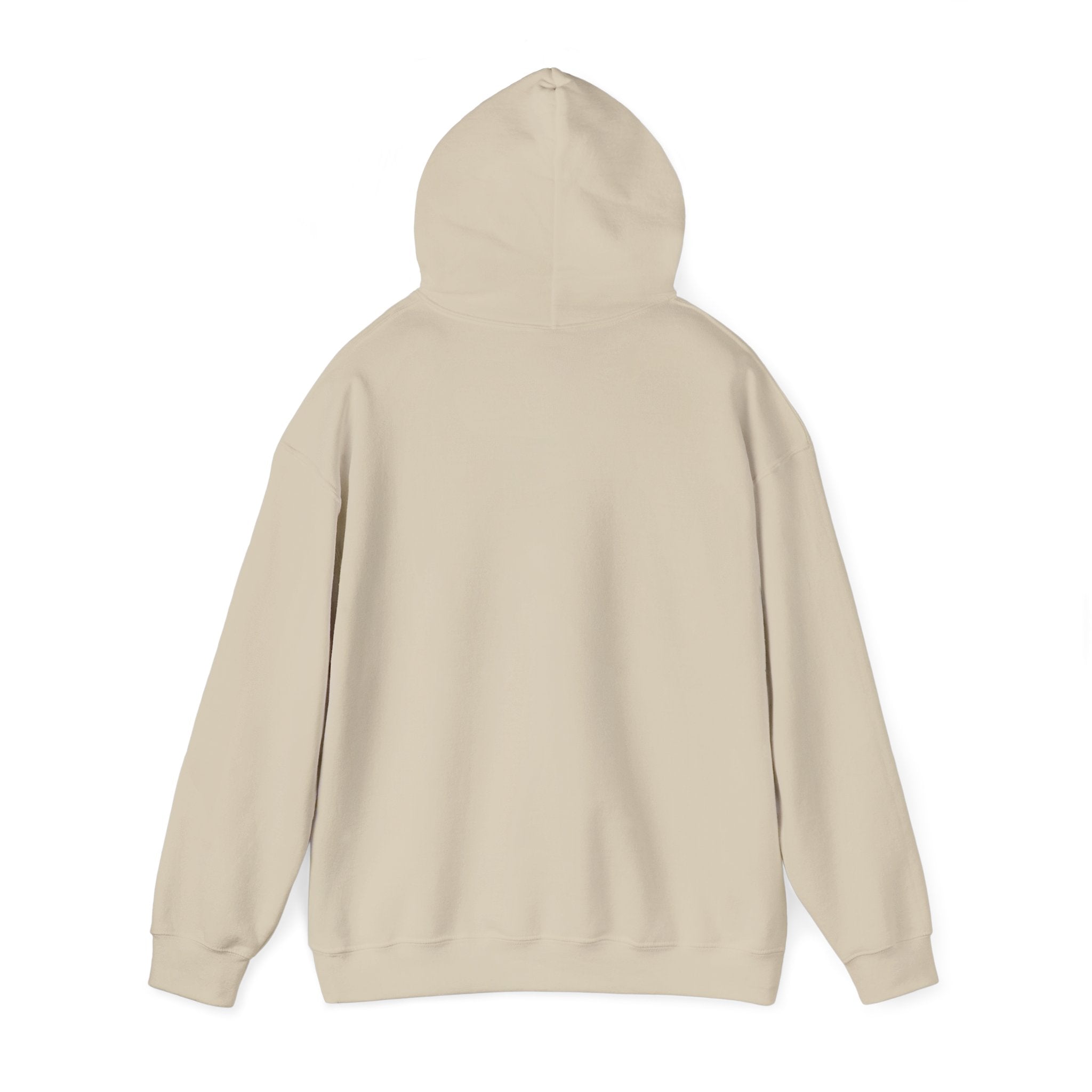 Lake Stevens Vikings Classic Hoodie