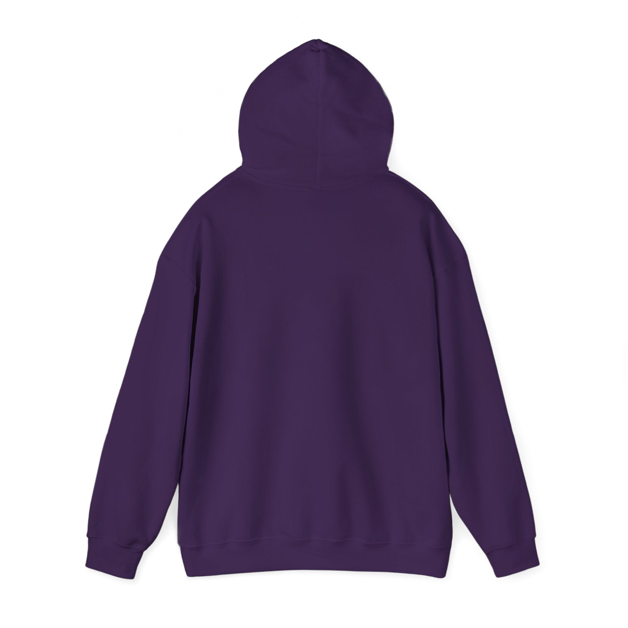 Lake Stevens Vikings Hoodie — LS